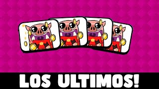 Este es el ULTIMO SORTEO de Los CERDITOS con MONEDAS 🙏  Clash Royale DILASH [upl. by Yendys]