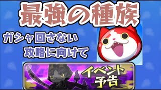 ぷにぷに 隠しボス攻略をガシャ特殊能力持ちなしで倒すための最強種族を育てるチャンス！妖怪ウォッチぷにぷに シソッパ [upl. by Htenek]