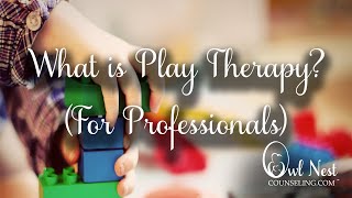 What Is Play Therapy For Professionals YouTube [upl. by Neraj344]