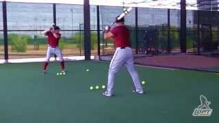 Baseball Hitting Drills [upl. by Nichole453]