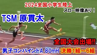 2024全国小学生陸上 男子コンバインドA 80mH 決勝1～6組 [upl. by Stillas]