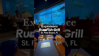 RumFish Grill  TradeWinds Island Resorts 🏝️ Things To Do Tampa Bay [upl. by Airtina]