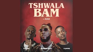 Tshwala Bam feat SNE [upl. by Nnaegroeg]