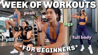 WEEK OF WORKOUTS  4Day BEGINNER Split to Be CONSISTENT in the Gym [upl. by Lemrahc636]