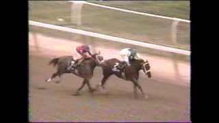 Horse Racing The Matron 1995 Belmont Park Golden Attraction [upl. by Dougherty350]