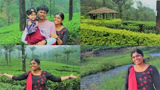 Valparai VLOG  One day trip to Valparai House2Home [upl. by Reed]