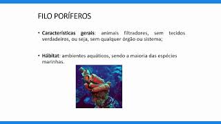 Zoologia dos invertebrados [upl. by Rumery]