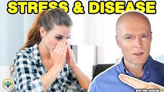 Stress And Disease Connection  User Manual For Humans S1 E02  Dr Ekberg [upl. by Maxwell140]