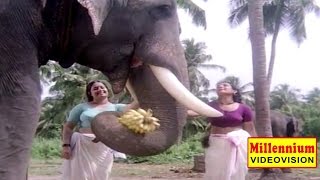 Malayalam Evergreen Film Song  Maarimukilin  Guruvayur Kesavan  P Madhuri [upl. by Iridissa]