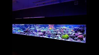 Aquaforest 912g Mixed Reef [upl. by Housen360]