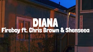 Fireboy DML  Diana Lyrics ft Chris Brown amp Shenseea [upl. by Yessej]