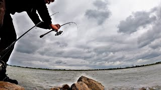 Alles gaat Mis maar toch Tevreden naar Huis Combovissen Barbeel Meerval en of Snoekbaars [upl. by Salahcin]