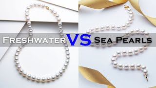 Freshwater Pearls vs Sea Pearls Akoya Pearls [upl. by Ahseihs]