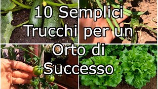 10 Semplici Trucchi per un Orto di Successo [upl. by Ahc]