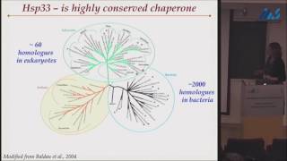 Dana Reichmann  Roles of structural plasticity in chaperone working cycle [upl. by Carline]