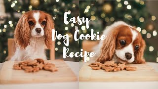 EASY DIY DOG TREATS  Make these cookies for Christmas [upl. by Brod]