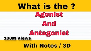 Difference Between Agonist And Antagonist  3D Animation  viral education [upl. by Ssidnac]