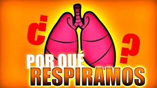 ¿Por qué respiramos 👃 EXPLICACIÓN FÁCIL Escalas y modelos formales  FISIOLOGÍA RESPIRATORIA [upl. by Kenrick]