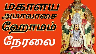 SHRI NAVAVARAHI amp NAVAGRAHA VARAHI TEMPLE TRICHY is live [upl. by Alyworth235]