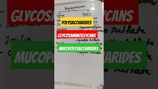 Polysaccharides glycosaminoglycans mucopolysaccharides polysaccharides carbohydratesbiochemistry [upl. by Ifen]