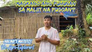 MAGKANO ANG PUHUNAN SA MALIIT NA PUGOAN  RONS FARM OFFICIAL [upl. by Dowling]