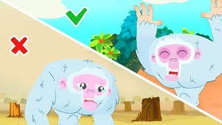 NEW Learn how to protect the forest  Superzoo [upl. by Lauralee151]