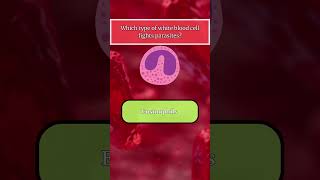 Hematology Quiz hematology biology labscience healthcare premed medstudent medschool [upl. by Monica]