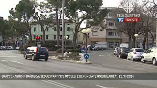 BRACCONAGGIO A GRADISCA SEQUESTRATI 370 UCCELLI E DENUNCIATE IRREGOLARITA  23112024 [upl. by Gonnella]