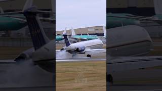 Everts Air Cargo MD80F Landing At Paine Field shorts aviation [upl. by Llehcor]