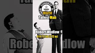 World Tallest Man shorts guinnessworldrecords youtubeshorts [upl. by Eelibuj]