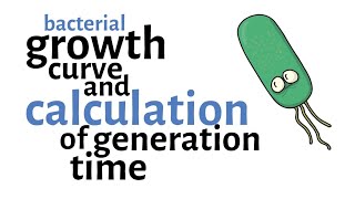 Bacterial Growth Curve amp Generation time Calculation [upl. by Melisande]