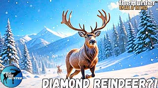 Did I Finally Find A 3rd Diamond Reindeer TheHunter Call Of The Wild [upl. by Eicrad]