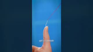 How To Remove A Fishhook 3dnimation shorts [upl. by Francklin]