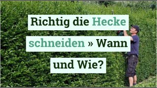 Richtig die Hecke schneiden » Wann und Wie  5 ProfiTipps [upl. by Attiuqehs]