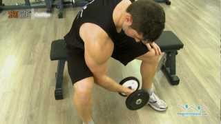 Ejercicio curl de biceps concentrado con mancuerna [upl. by Oiralih]