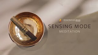 Sensing Mode Cultivating Mindfulness  30Minute Guided Meditation [upl. by Cinelli]