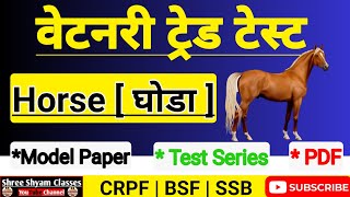 Veterinary Trade Exam Video  Horse Most Question  CRPF BSF SSB Veterinary Trade Test crpf [upl. by Mayram848]