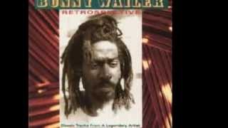 BUNNY WAILER  Soul Rebel Retrospective [upl. by Aerdnad]