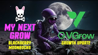 Trick or Treat  Vivosun  VGrow AllInOne Smart Grow Box [upl. by Llennoj594]