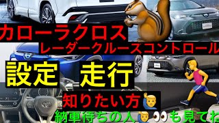 トヨタ カローラクロス レーダークルーズコントロール設定方法⭐️走行映像⭐️ [upl. by Sandie]