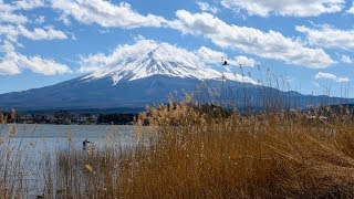 Meeting Mr Fuji  Lake Kawaguchiko  Japan 4K [upl. by Nylikcaj]