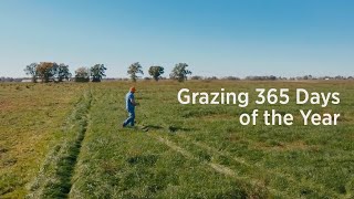 Grass Dairy Demo Story No Branding [upl. by Haroppiz]