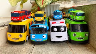 Tayo the little bus TayoLaniGaniRogiAliceCitoLollySchool BusCity Bus Car Collection [upl. by Lipfert]