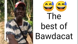 Bawdacat jokes unfiltered funny moments [upl. by Adal]