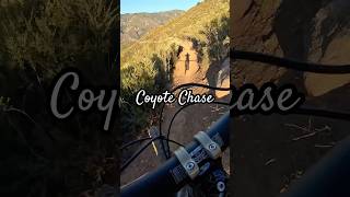 Blue mountain bike trail at Luiseno Bike Park bike fun outdoors mtb shorts [upl. by Alin]