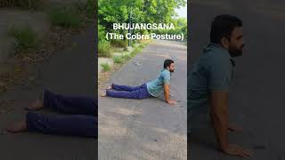 Yoga  yoga for weight losslower back yogaDisc Pain Yoga Day 18ytshorts shorts yoga trending [upl. by Nlycaj]