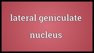 Lateral geniculate nucleus Meaning [upl. by Cyd254]