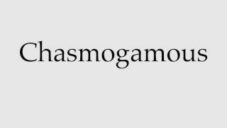 How to Pronounce Chasmogamous [upl. by Halverson]