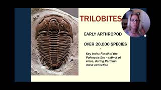 APBio Ch 18 Part 2 Origin amp History of Life [upl. by Rafaelita]