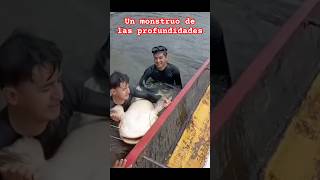 Pescamos un enorme sungaro de 93kg con arpón pesca [upl. by Bernie]